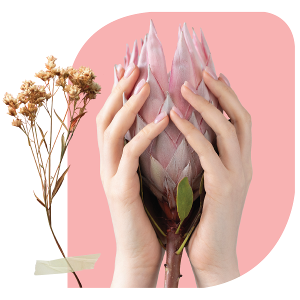 kasturi regenerative