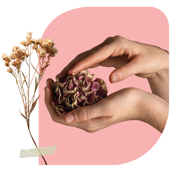 kasturi regenerative
